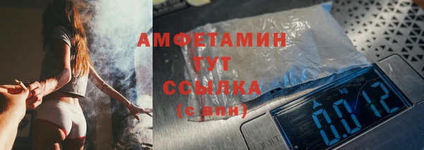 ешки Горняк