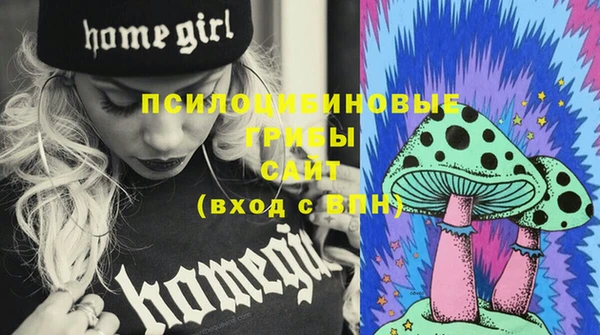 ешки Горняк