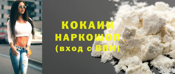 ешки Горняк