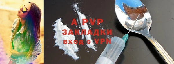ECSTASY Гусь-Хрустальный