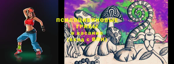 СК Горно-Алтайск